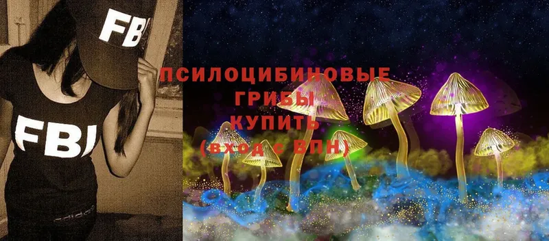 Псилоцибиновые грибы Magic Shrooms  Арск 